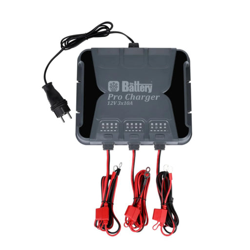 The battery Pro Charger 12V/24V